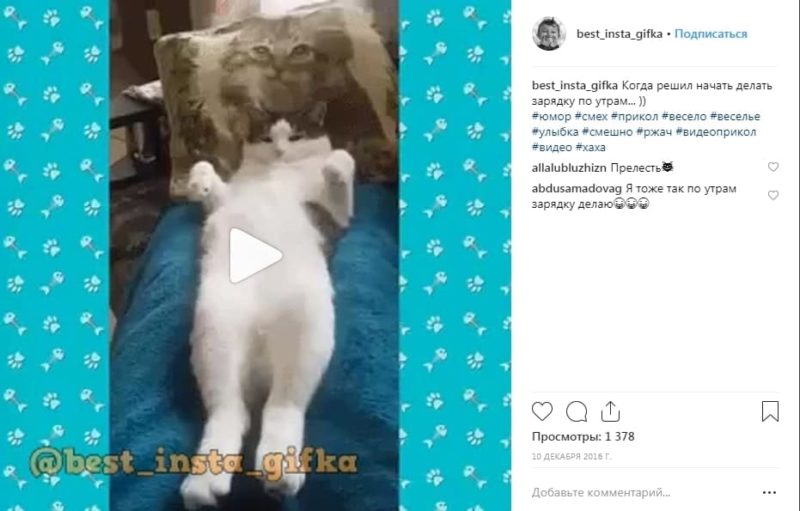 что такое гифки в инстаграм. Смотреть фото что такое гифки в инстаграм. Смотреть картинку что такое гифки в инстаграм. Картинка про что такое гифки в инстаграм. Фото что такое гифки в инстаграм