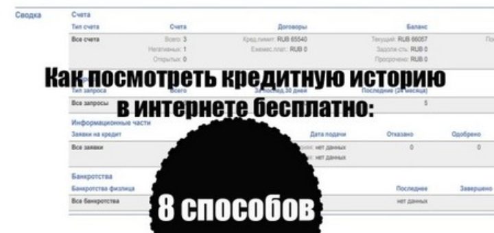 Как посмотреть кредитную историю в интернете бесплатно