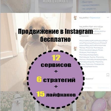 продвижение инстаграм бесплатно