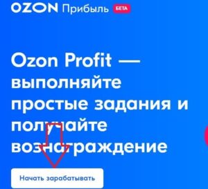 Озон Профит: обзор платформы для заработка для самозанятых | MisterRich.ru